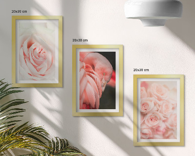 Photo frame wall Pastel pinks and flamingo in delicate shades