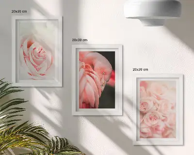 Photo frame wall in delicate pastel pink and flamingo shades
