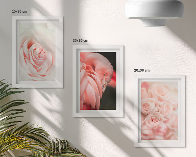 Photo frame wall Pastel pinks and flamingo in delicate shades