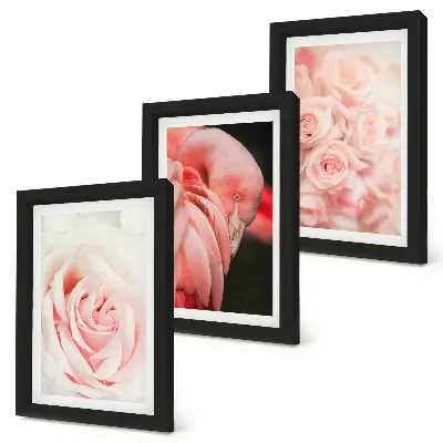 Photo frame wall in delicate pastel pink and flamingo shades