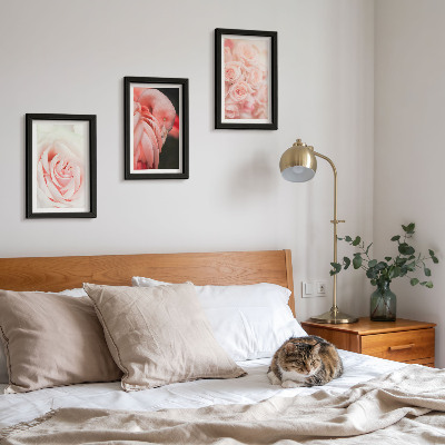Photo frame wall Pastel pinks and flamingo in delicate shades