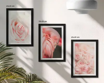 Photo frame wall in delicate pastel pink and flamingo shades