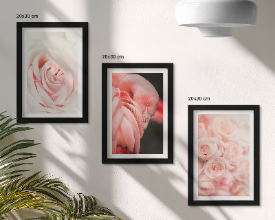 Photo frame wall Pastel pinks and flamingo in delicate shades