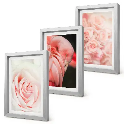 Photo frame wall in delicate pastel pink and flamingo shades
