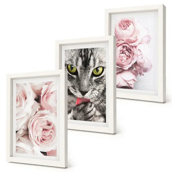 3-piece wall art set a cat among pink roses and peonies