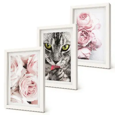 3-piece wall art set a cat among pink roses and peonies