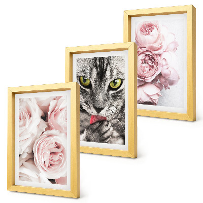 3-piece wall art set A cat among pink flowers of roses and peonies
