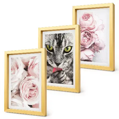 3-piece wall art set a cat among pink roses and peonies