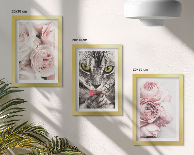 3-piece wall art set A cat among pink flowers of roses and peonies