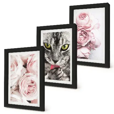 3-piece wall art set a cat among pink roses and peonies
