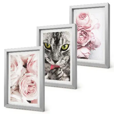 3-piece wall art set a cat among pink roses and peonies