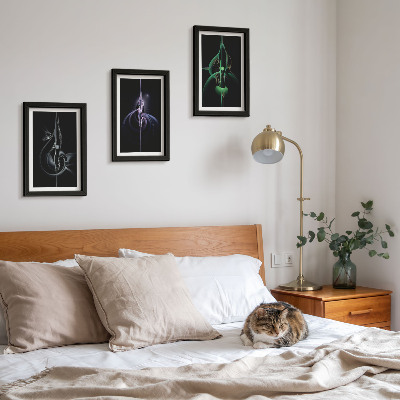 Photo frame wall Abstract patterns in shades of black and color