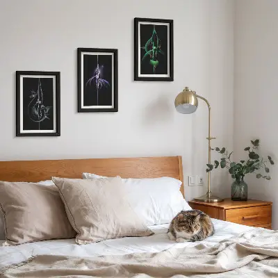 Photo frame wall with abstract patterns in shades of black and color