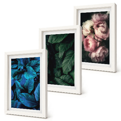 Framed triptych Leaves and flowers in different colors