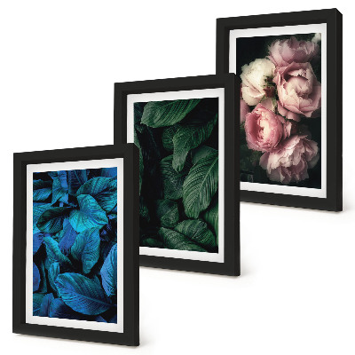 Framed triptych Leaves and flowers in different colors