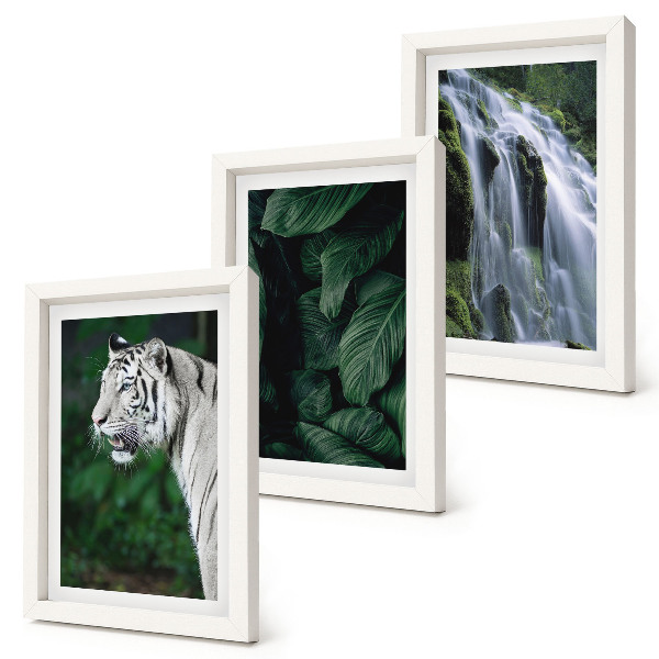 3-piece wall art set White tiger leaves and waterfall in natural surroundings