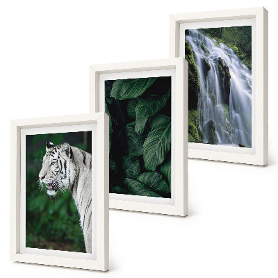 3-piece wall art set White tiger leaves and waterfall in natural surroundings