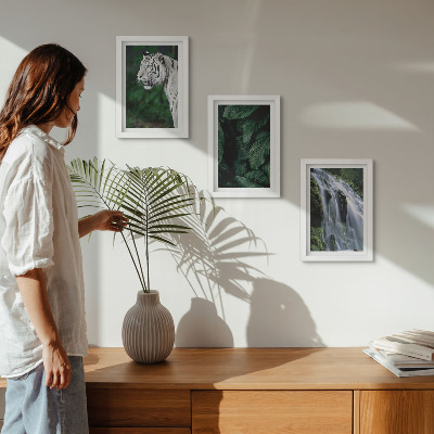 3-piece wall art set White tiger leaves and waterfall in natural surroundings