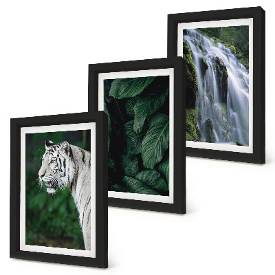 3-piece wall art set White tiger leaves and waterfall in natural surroundings