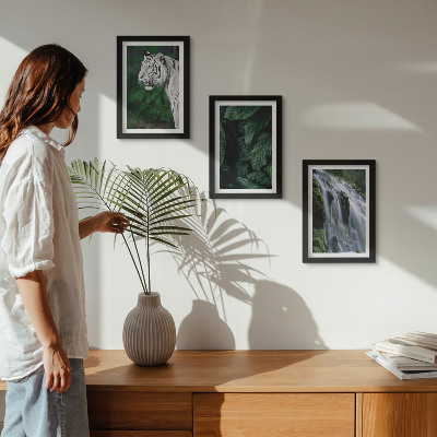3-piece wall art set White tiger leaves and waterfall in natural surroundings