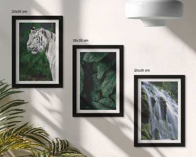 3-piece wall art set White tiger leaves and waterfall in natural surroundings