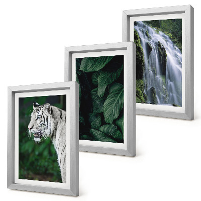 3-piece wall art set White tiger leaves and waterfall in natural surroundings