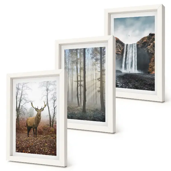 Photo frame wall with forest landscape wild nature deer prints