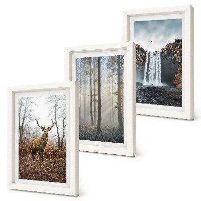 Photo frame wall Forest landscapes wild nature deer
