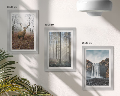 Photo frame wall Forest landscapes wild nature deer