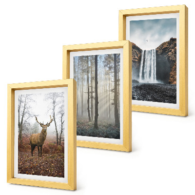 Photo frame wall Forest landscapes wild nature deer