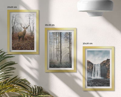 Photo frame wall Forest landscapes wild nature deer