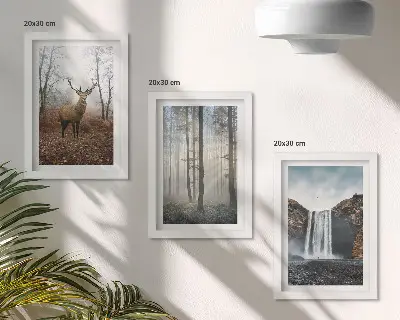 Photo frame wall with forest landscape wild nature deer prints