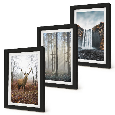 Photo frame wall Forest landscapes wild nature deer