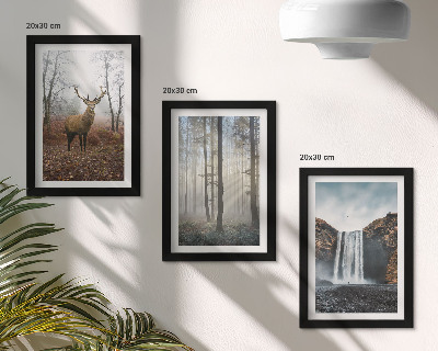 Photo frame wall Forest landscapes wild nature deer