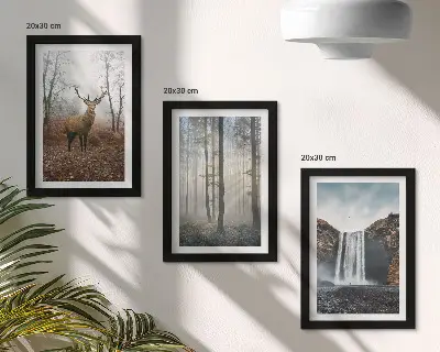 Photo frame wall with forest landscape wild nature deer prints