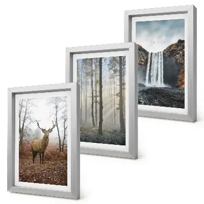 Photo frame wall with forest landscape wild nature deer prints