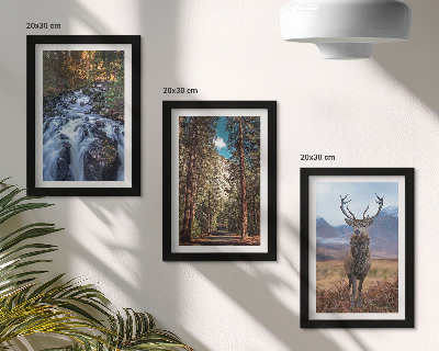 Framed triptych Waterfall in the forest, mountains and deer in nature