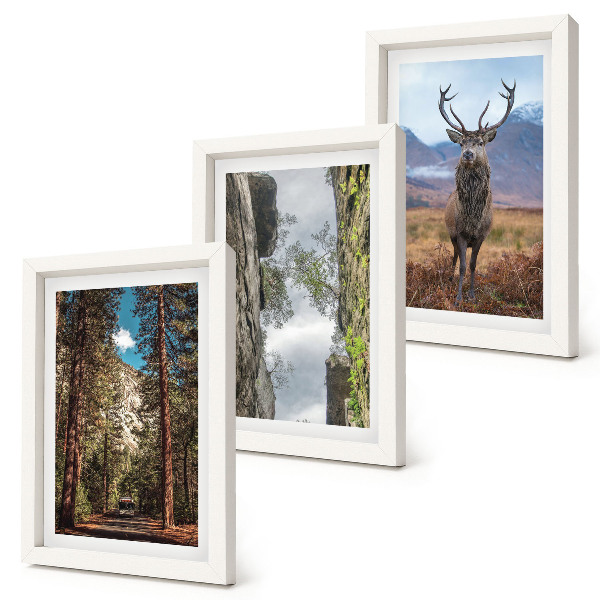 3-piece wall art set Road in the forest, mountains and deer in nature