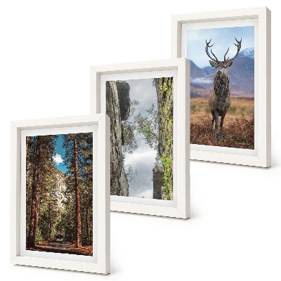 3-piece wall art set Road in the forest, mountains and deer in nature