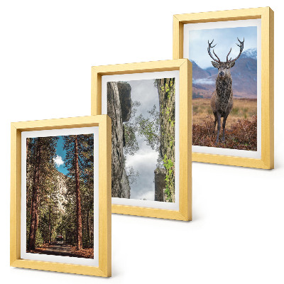 3-piece wall art set Road in the forest, mountains and deer in nature