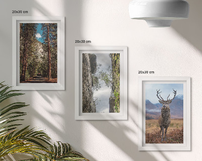 3-piece wall art set Road in the forest, mountains and deer in nature