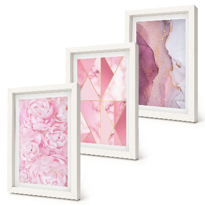 Framed triptych Pink flowers peonies geometric patterns