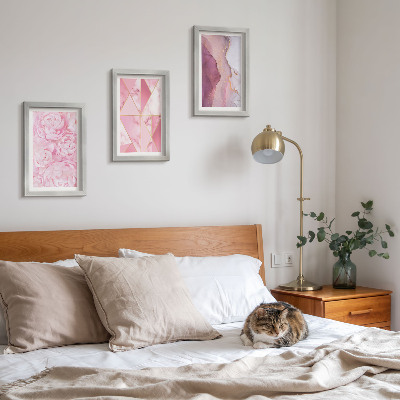 Framed triptych Pink flowers peonies geometric patterns