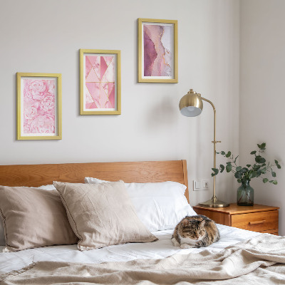 Framed triptych Pink flowers peonies geometric patterns