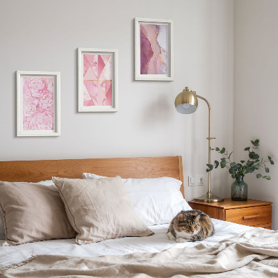 Framed triptych Pink flowers peonies geometric patterns