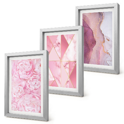 Framed triptych Pink flowers peonies geometric patterns