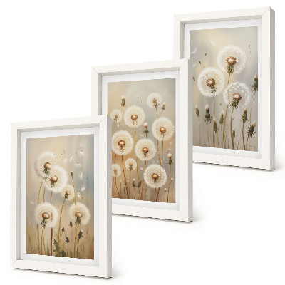3-piece wall art set White dandelions against a background of bright colors