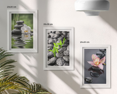 Photo frame wall A peaceful zen composition of stones and flowers on water