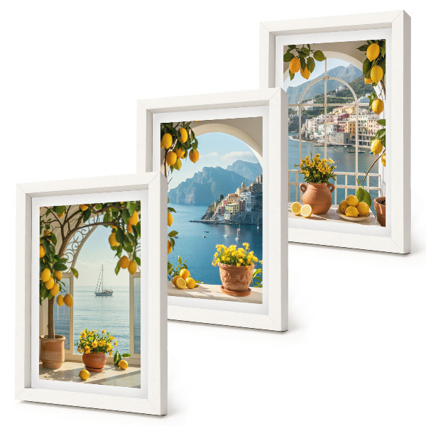3-piece wall art set Seaside town lemons and flowers in pots