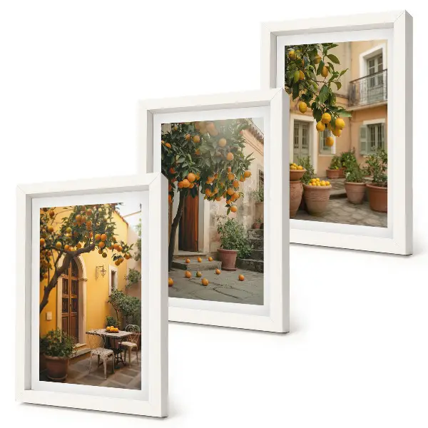 Photo frame wall with a sunny garden and citrus trees print